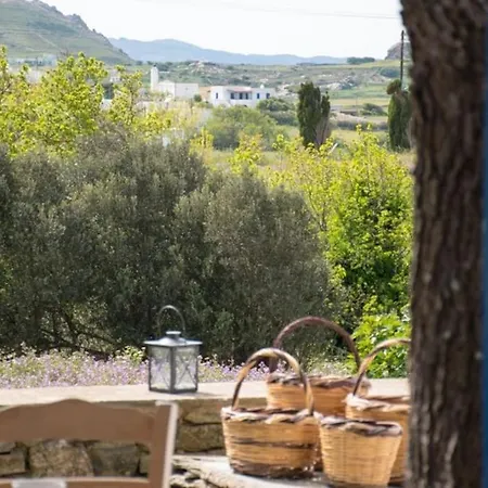 Alice House Tinos *